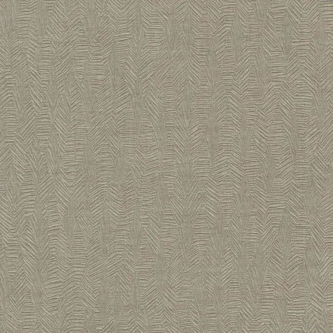 Brilliant Partridge High Performance Wallpaper