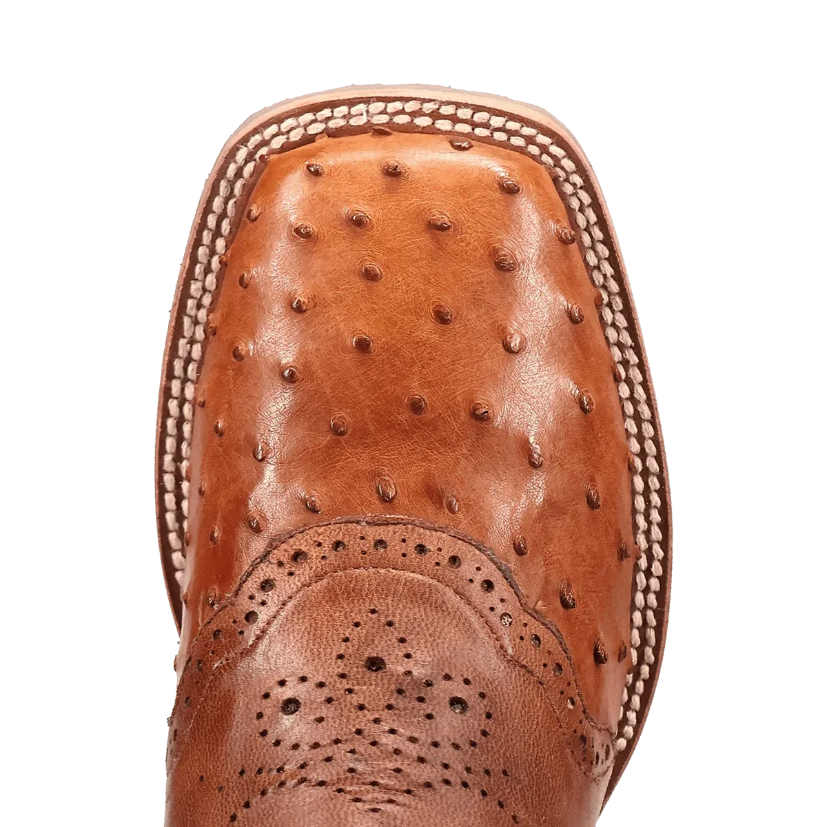 Dan Post Men's Martel Full Quill Ostrich Western Boot in Brown