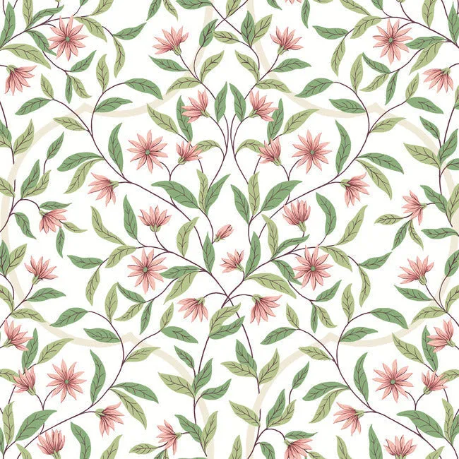 Jasmine Wallpaper