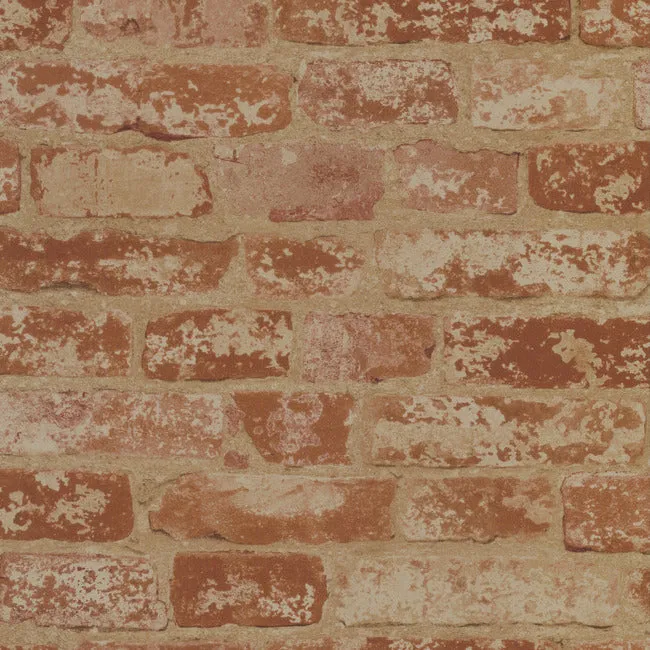 Up the Wall Wallpaper