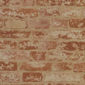 Up the Wall Wallpaper